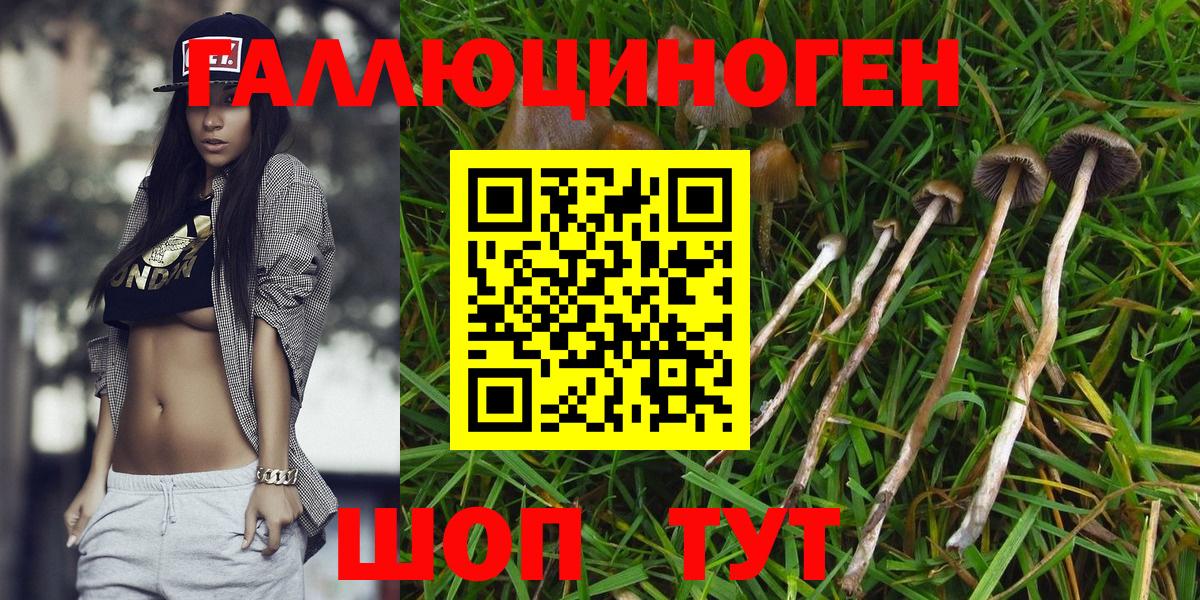 Псилоцибиновые грибы Magic Shrooms  Вход с VPN  Галлюциногенные грибы Psilocybe  Биробиджан 